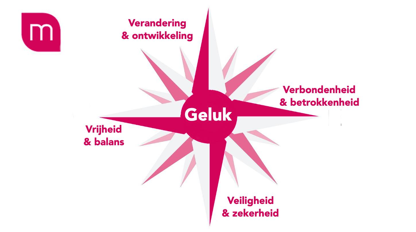 Vertrek van een brede visie: streven naar geluk